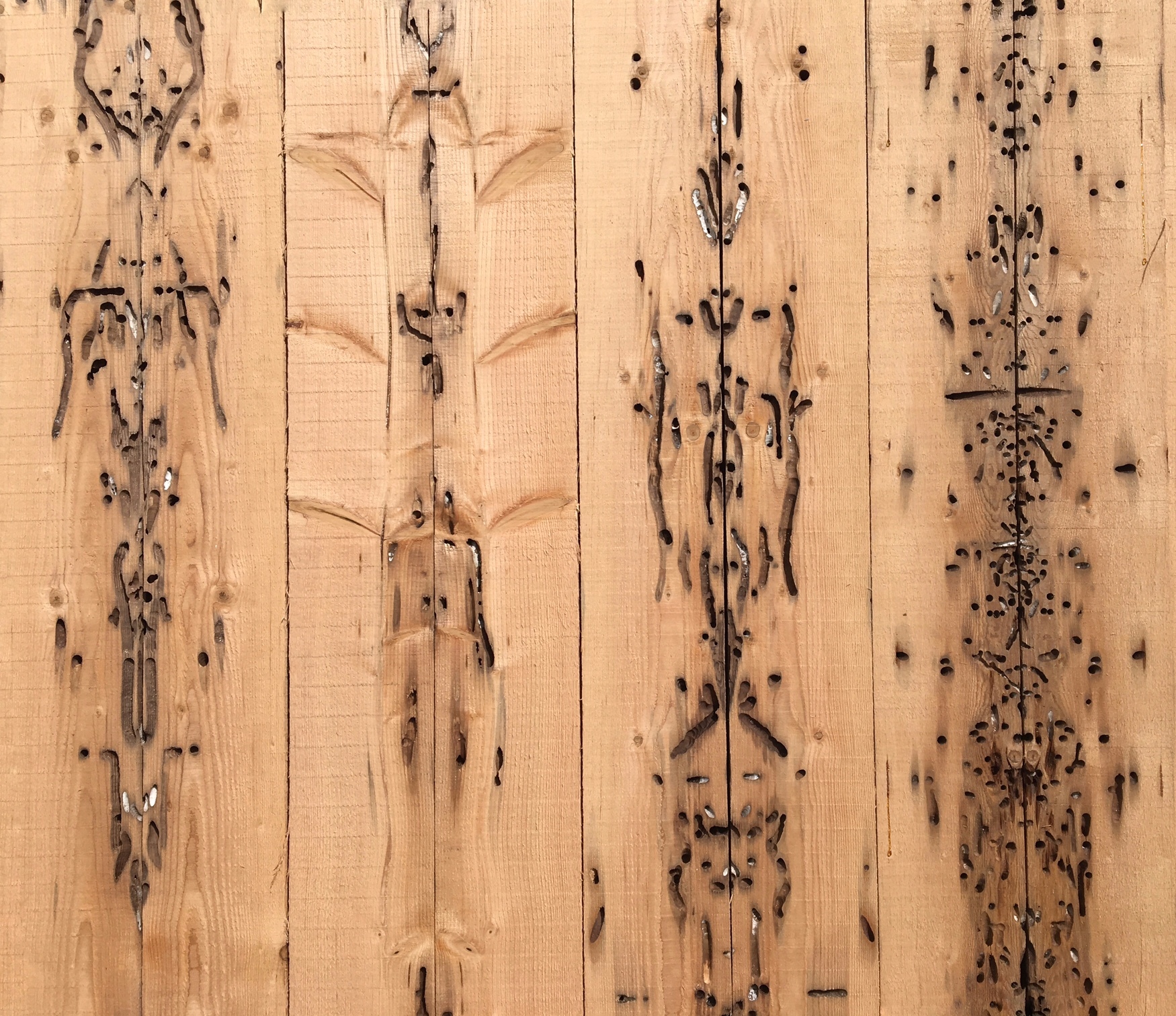 Bookmatched Sets 1x8x6