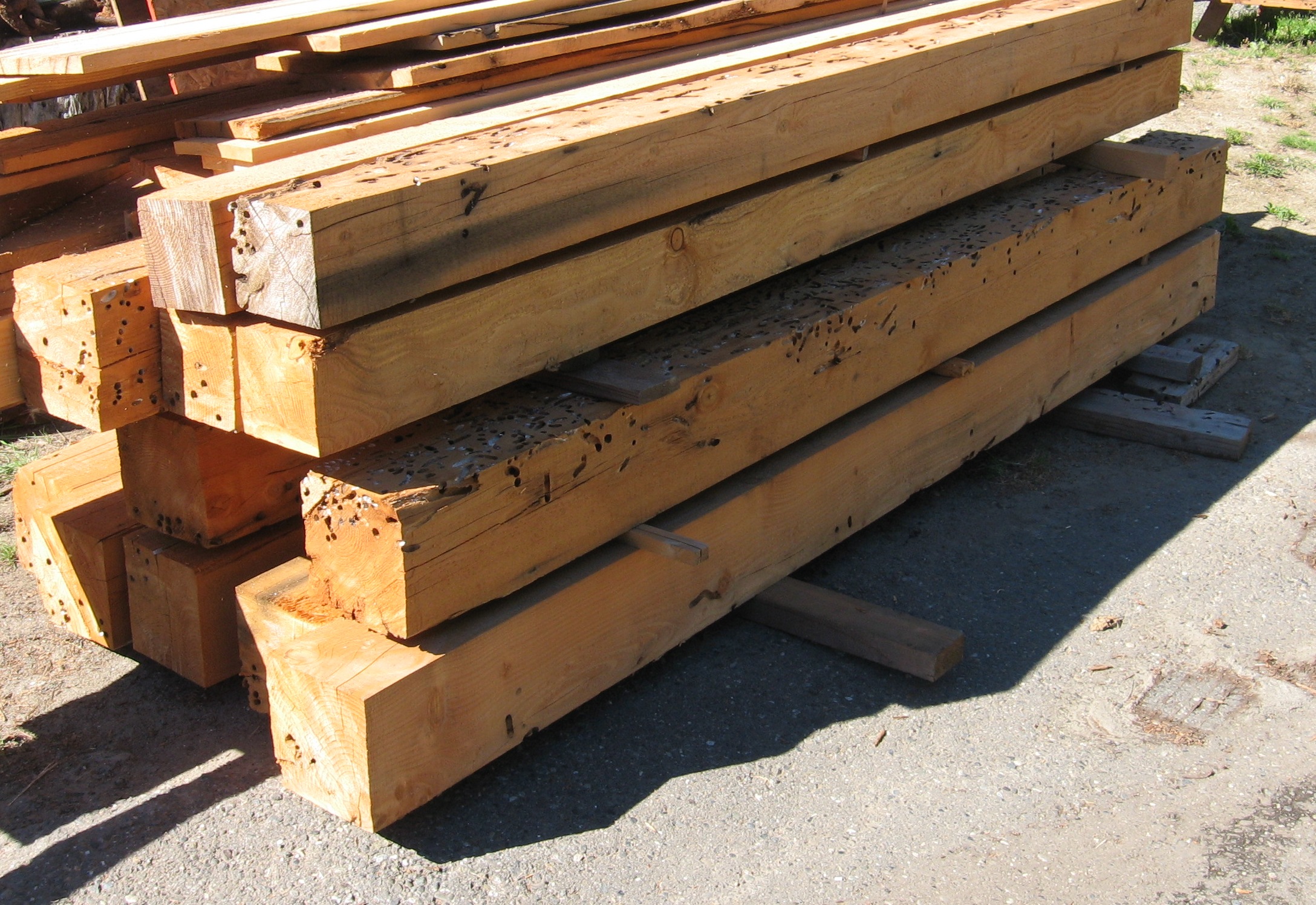 douglas fir beams-Trinity River Marine