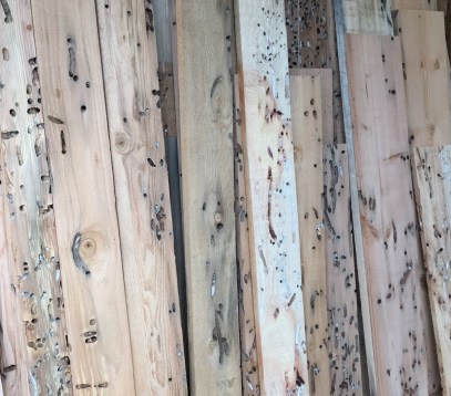 Shortboards 4-8 wide