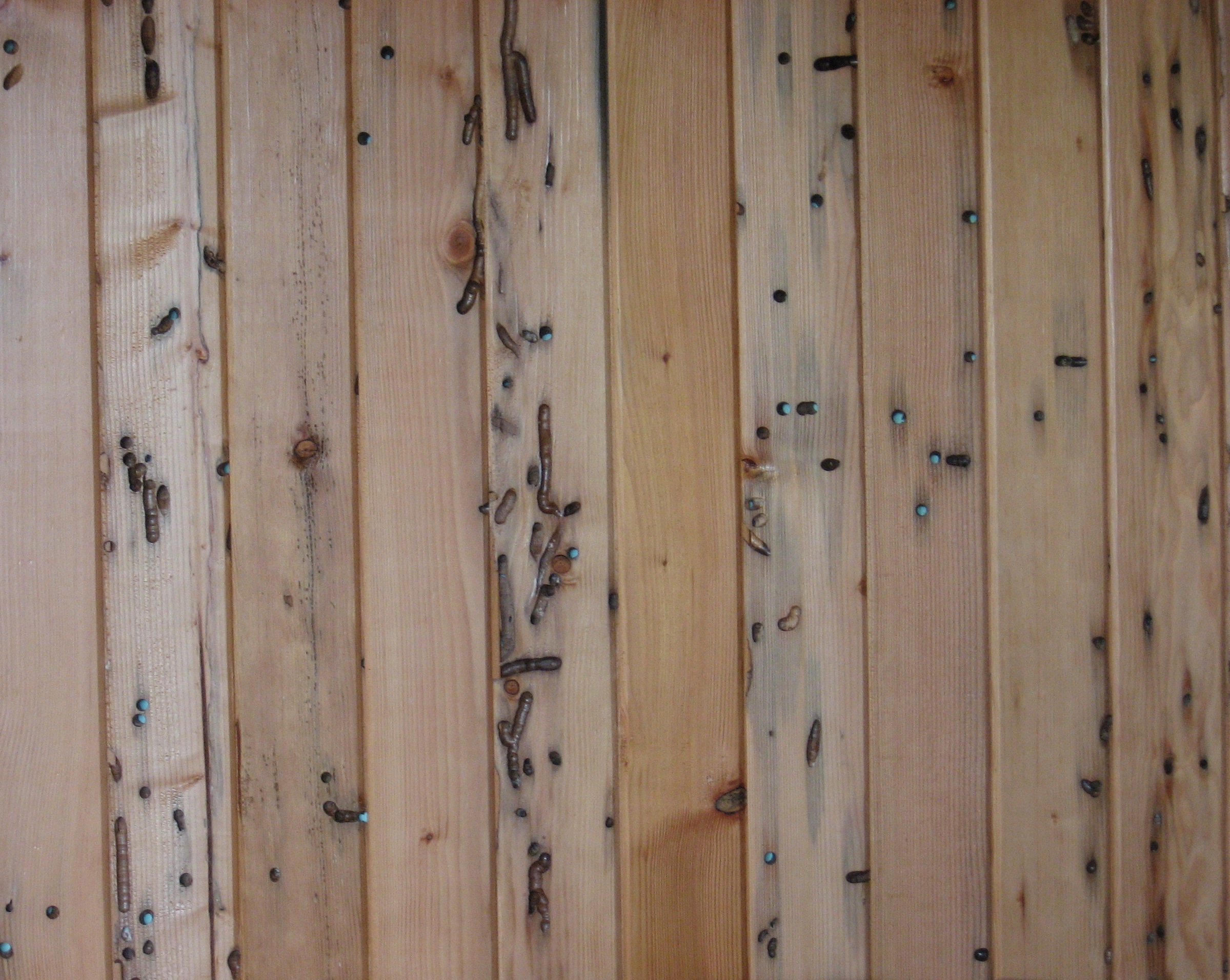 Wormwood Wall Paneling-Recycled Walls-Trinity River Marine